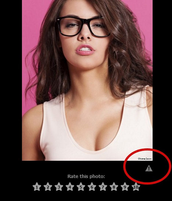 User and photo reporting